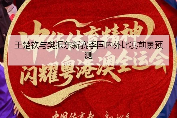 王楚钦与樊振东新赛季国内外比赛前景预测 - jiuyou